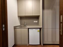 Parksuites (D10), Apartment #418880981